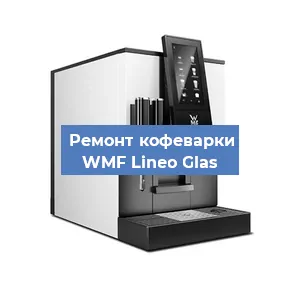 Декальцинация   кофемашины WMF Lineo Glas в Ижевске